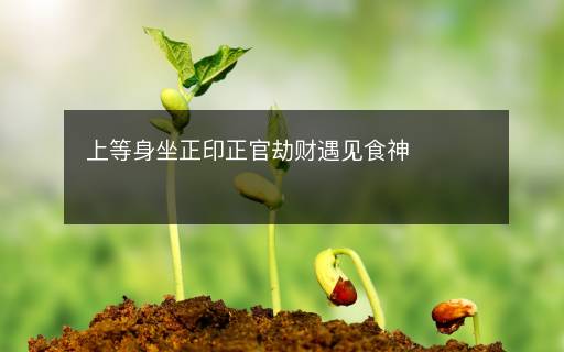 上等身坐正印正官劫財(cái)遇見(jiàn)食神