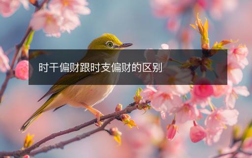時干偏財(cái)跟時支偏財(cái)?shù)膮^(qū)別