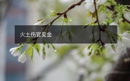 火土傷官見金