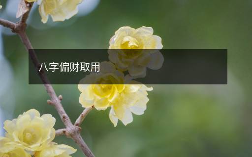 八字偏財(cái)取用