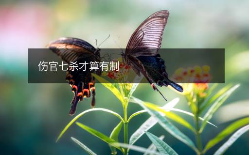 傷官七殺才算有制
