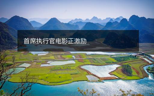 首席執(zhí)行官電影正激勵