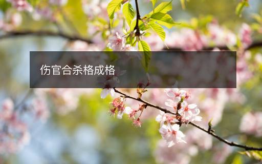 傷官合殺格成格