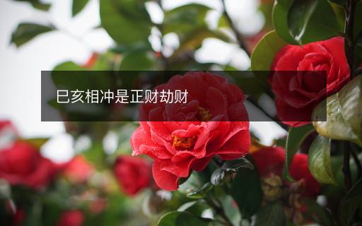 巳亥相沖是正財(cái)劫財(cái)
