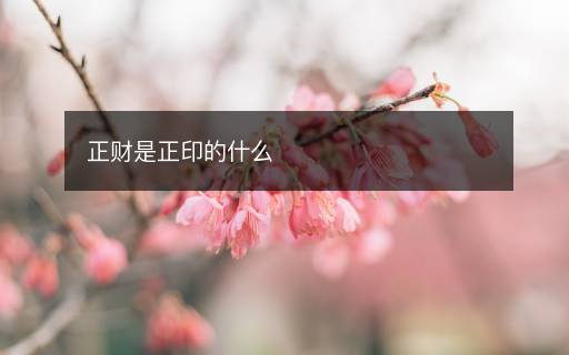 正財是正印的什么