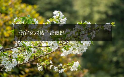傷官女對(duì)孩子都很好