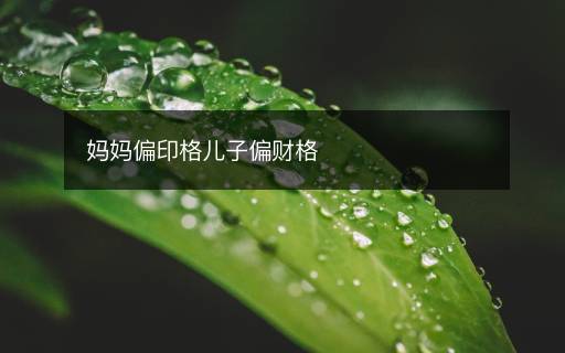 媽媽偏印格兒子偏財(cái)格
