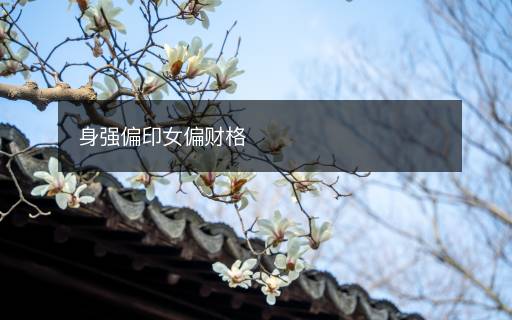 身強(qiáng)偏印女偏財(cái)格