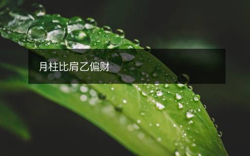 月柱比肩乙偏財