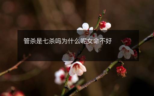 管殺是七殺嗎為什么呢女命不好