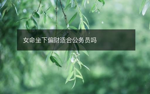 女命坐下偏財適合公務(wù)員嗎