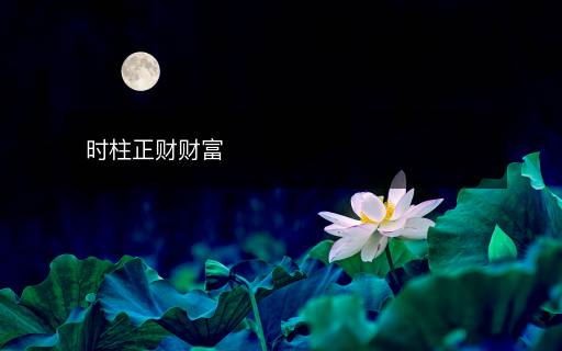 時柱正財財富
