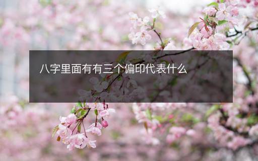 八字里面有有三個(gè)偏印代表什么