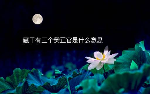 藏干有三個(gè)癸正官是什么意思