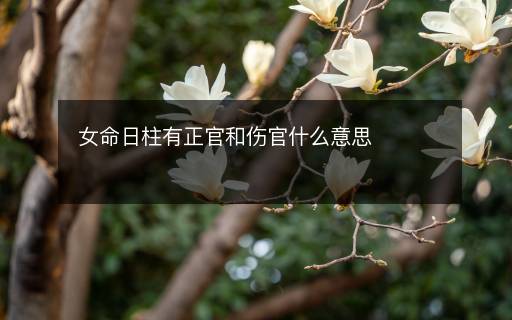 女命日柱有正官和傷官什么意思