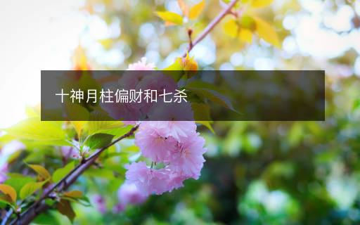 十神月柱偏財和七殺