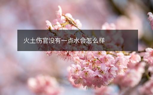 火土傷官?zèng)]有一點(diǎn)水會(huì)怎么樣
