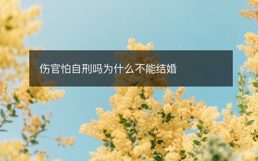 傷官怕自刑嗎為什么不能結(jié)婚