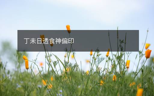 丁未日透食神偏印