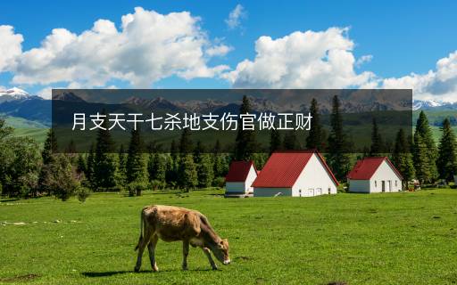 月支天干七殺地支傷官做正財(cái)