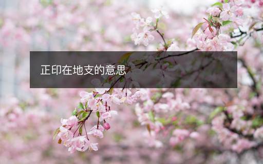 正印在地支的意思