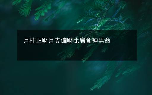 月柱正財(cái)月支偏財(cái)比肩食神男命