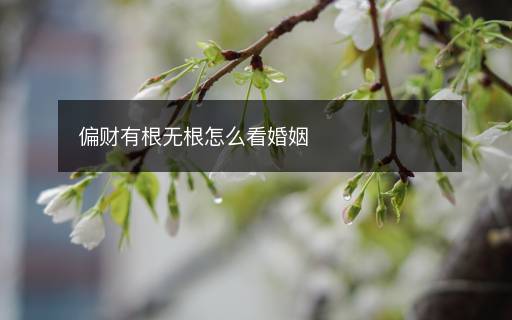 偏財(cái)有根無根怎么看婚姻
