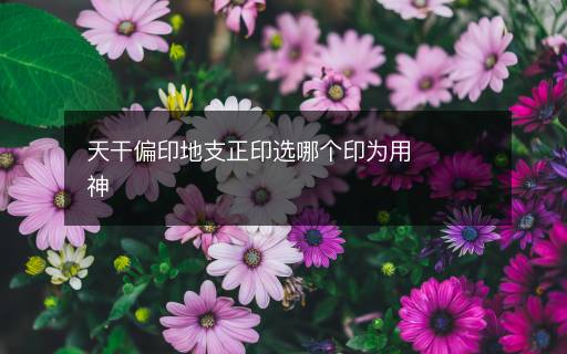 天干偏印地支正印選哪個印為用神