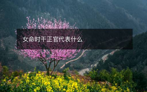 女命時干正官代表什么