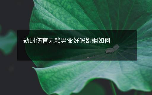 劫財(cái)傷官無賴男命好嗎婚姻如何