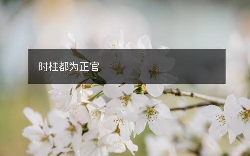 時柱都為正官