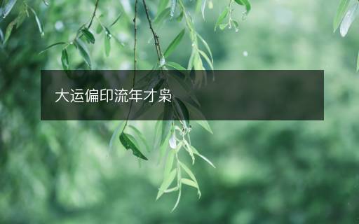 大運(yùn)偏印流年才梟