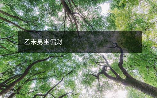 乙未男坐偏財