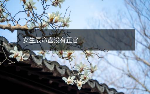 女生辰命盤沒有正官