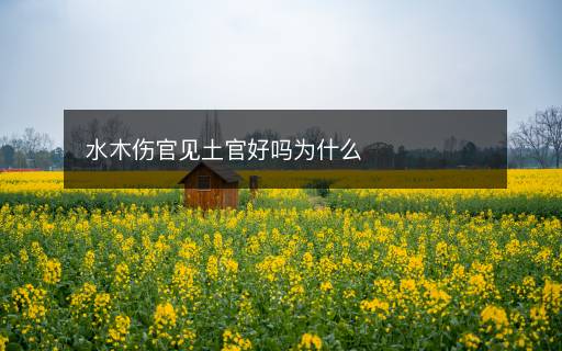 水木傷官見土官好嗎為什么
