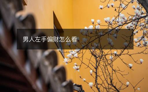 男人左手偏財(cái)怎么看