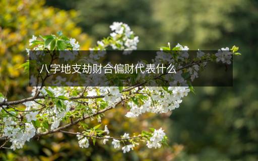 八字地支劫財合偏財代表什么