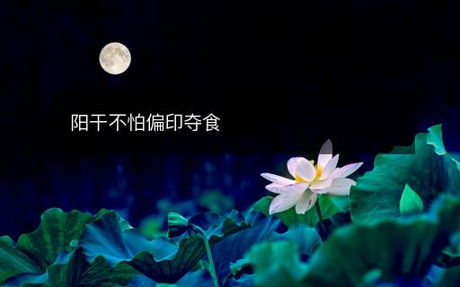 陽(yáng)干不怕偏印奪食