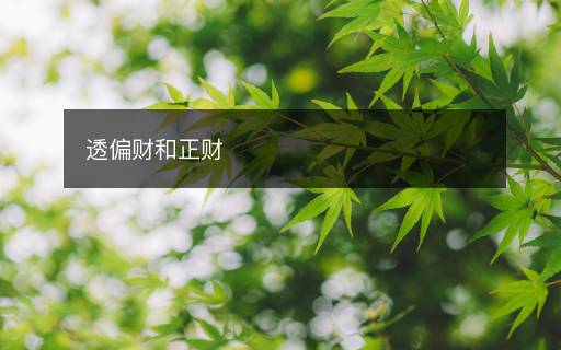 透偏財(cái)和正財(cái)