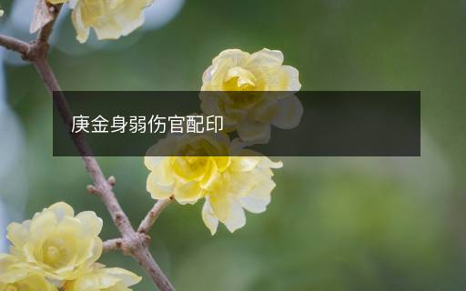 庚金身弱傷官配印