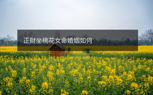 正財(cái)坐桃花女命婚姻如何