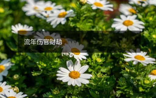 流年傷官財劫