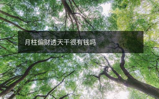 月柱偏財透天干很有錢嗎