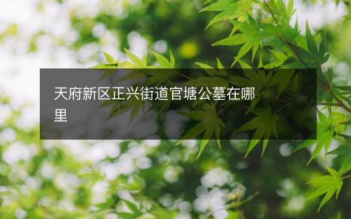 天府新區(qū)正興街道官塘公墓在哪里