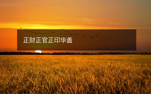 正財正官正印華蓋