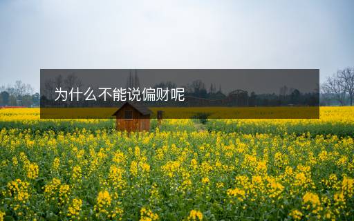 為什么不能說偏財(cái)呢