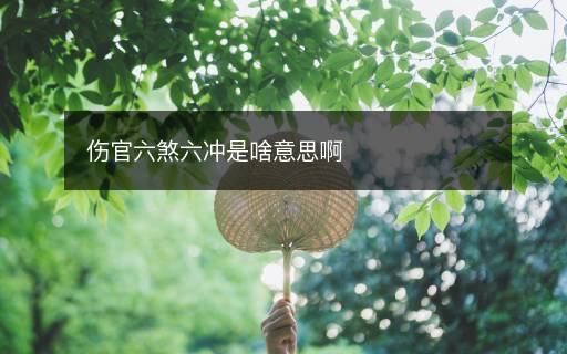 傷官六煞六沖是啥意思啊