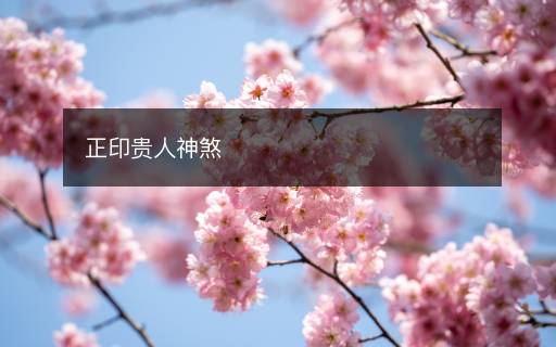 正印貴人神煞