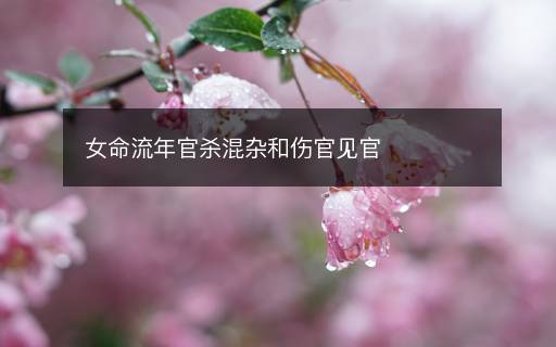 女命流年官殺混雜和傷官見(jiàn)官