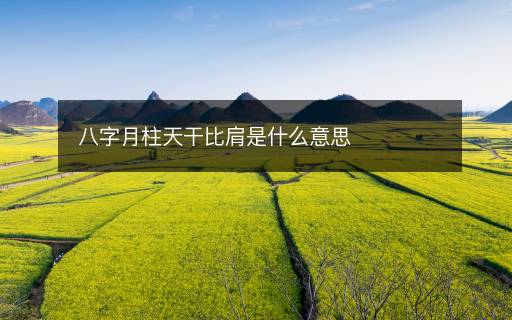 八字月柱天干比肩是什么意思